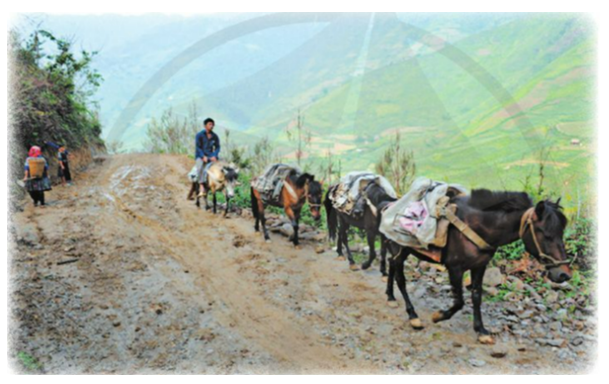 Soạn bài Phương tiện vận chuyển của các dân tộc thiểu số Việt Nam ngày xưa Cánh diều (ảnh 1)