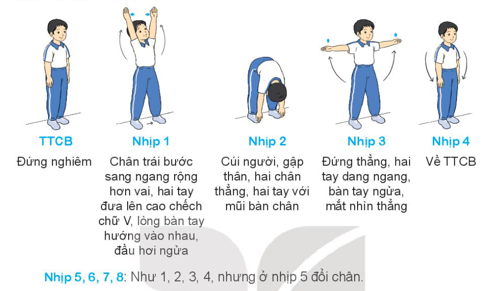 Giáo dục thể chất lớp 3 Bài 2: Động tác chân, động tác lườn, động tác bụng trang 34, 35, 36, 37, 38 – Kết nối tri thức (ảnh 1)