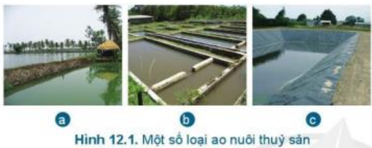 Giải Công nghệ 7 Bài 12: Quy trình nuôi cá nước ngọt trong ao - Cánh diều (ảnh 1)