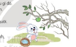 Bài 10: Quả hồng của thỏ con Tiếng Việt lớp 3 Tập 2 – Kết nối tri thức (ảnh 1)