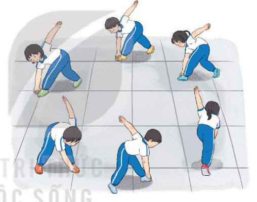 Giáo dục thể chất lớp 3 Bài 3: Động tác phối hợp, động tác nhảy, động tác điều hoà trang 39, 40, 41, 42 – Kết nối tri thức (ảnh 1)