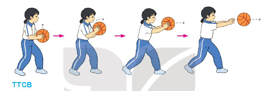 Giáo dục thể chất lớp 3 Bài 3: Động tác chuyền bóng bằng hai tay trước ngực trang 73, 74, 75 – Kết nối tri thức (ảnh 1)