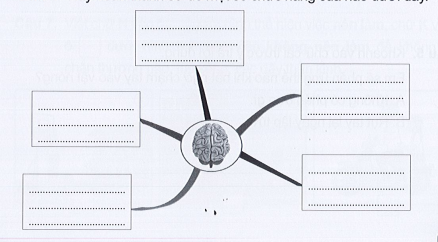 Vở bài tập Tự nhiên và xã hội lớp 3 trang 57, 58, 59, 60 Bài 17: Cơ quan thần kinh - Cánh diều (ảnh 1)