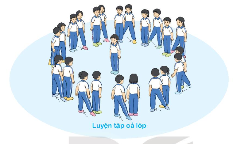 Giáo dục thể chất lớp 3 Bài 3: Biến đổi đội hình từ một vòng tròn thành hai vòng tròn và ngược lại trang 21, 22, 23, 24, 25 – Kết nối tri thức (ảnh 1)