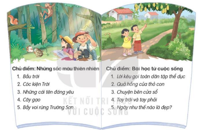 Ôn tập giữa học kì 2 Tiếng Việt lớp 3 Tập 2 – Kết nối tri thức (ảnh 1)