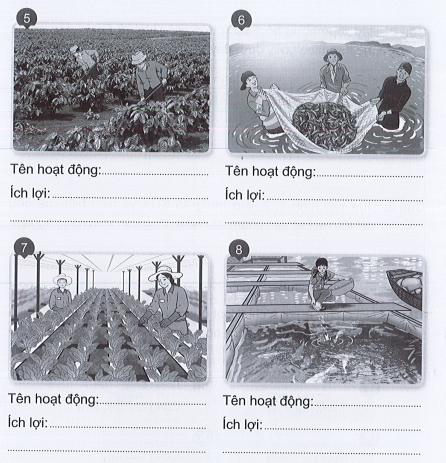 Vở bài tập Tự nhiên và xã hội lớp 3 trang 26, 27, 28, 29 Bài 9: Hoạt động sản xuất nông nghiệp - Cánh diều (ảnh 1)