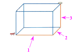 Giải Toán lớp 3 Bài 21: Khối lập phương, khối hộp chữ nhật - Kết nối tri thức (ảnh 1)