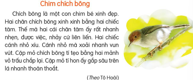 Bài 5: Ngày hội của rừng xanh Tiếng Việt lớp 3 Tập 2 – Kết nối tri thức (ảnh 1)