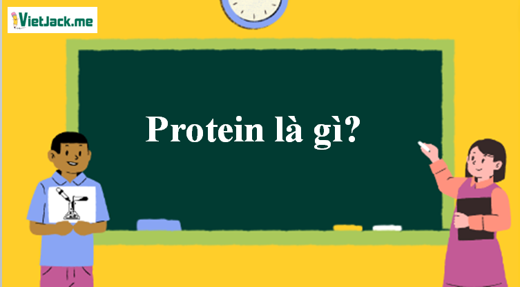 Protein là gì? Tính chất hóa học, tính chất vật lí, nhận biết, điều chế, ứng dụng của Protein (ảnh 1)