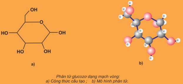 Glucozơ là gì? Tính chất hóa học, tính chất vật lí, nhận biết, điều chế, ứng dụng của Glucozơ (ảnh 1)