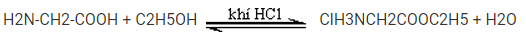 C2H5NO2 (Glyxin) là gì? Tính chất hóa học, tính chất vật lí, nhận biết, điều chế, ứng dụng của C2H5NO2 (Glyxin) (ảnh 1)