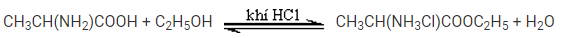 C3H7NO2 (Alanin) là gì? Tính chất hóa học, tính chất vật lí, nhận biết, điều chế, ứng dụng của C3H7NO2 (Alanin) (ảnh 1)