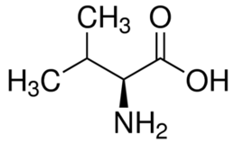 C5H11NO2 (Valin) là gì? Tính chất hóa học, tính chất vật lí, nhận biết, điều chế, ứng dụng của C5H11NO2 (Valin) (ảnh 1)