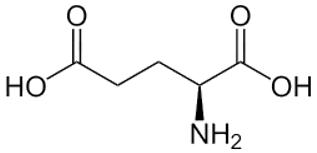 C5H9O4N (Axit glutamic) là gì? Tính chất hóa học, tính chất vật lí, nhận biết, điều chế, ứng dụng của C5H9O4N (Axit glutamic) (ảnh 1)
