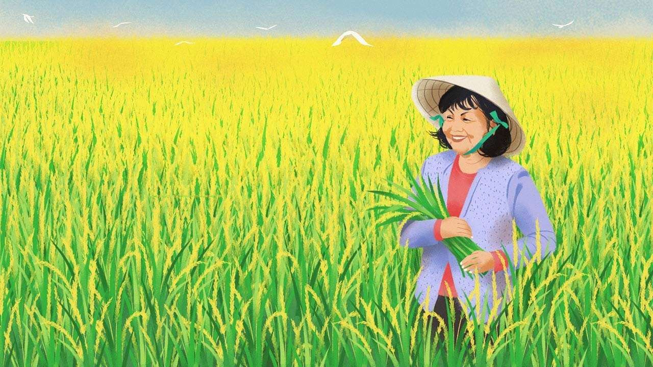 Những bức tranh 3D độc đáo được vẽ trên đồng lúa Trung Quốc