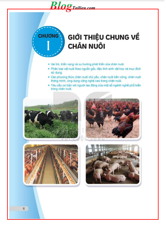 Công nghệ lớp 11 Công nghệ chăn nuôi Kết nối tri thức pdf (ảnh 1)