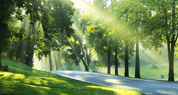 Soạn bài Nắng mới, áo đỏ và nét cười đen nhánh - Ngắn nhất Ngữ văn 8 Cánh diều (ảnh 1)