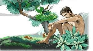 Soạn bài Muối của rừng - Ngắn nhất Ngữ văn 8 Kết nối tri thức (ảnh 1)