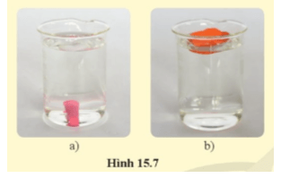 Giải KHTN 8 Bài 15 (Cánh diều): Tác dụng của chất lỏng lên vật nhúng trong nó (ảnh 1)
