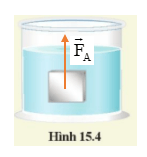 Giải KHTN 8 Bài 15 (Cánh diều): Tác dụng của chất lỏng lên vật nhúng trong nó (ảnh 1)