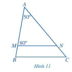 Giải Toán 7 Bài 1 (Cánh diều): Tổng các góc của một tam giác (ảnh 1)