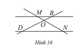 Sách bài tập Toán 6 Bài 2 (Cánh diều): Hai đường thẳng cắt nhau. Hai đường thẳng song song    (ảnh 1)