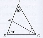 Sách bài tập Toán 7 Bài 1 (Cánh diều): Tổng các góc của một tam giác  (ảnh 1)