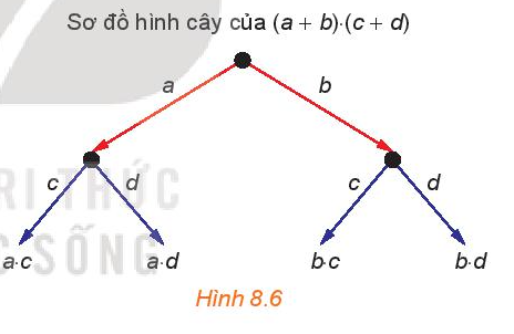 Giải Toán 10 Bài 25 (Kết nối tri thức): Nhị thức Newton (ảnh 1)