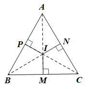 Sách bài tập Toán 7 Bài 12 (Cánh diều): Tính chất ba đường trung trực của tam giác  (ảnh 1)