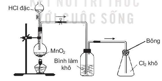 Sách bài tập Hóa học 10 Bài 21 (Kết nối tri thức): Nhóm halogen  (ảnh 1)