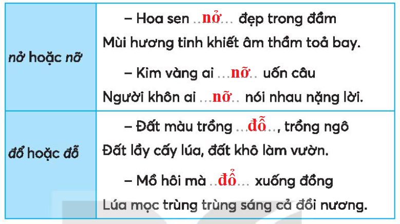 Vở bài tập Tiếng Việt lớp 3 Bài 27: Những chiếc áo ấm trang 60, 61 Tập 1 - Kết nối tri thức (ảnh 1)