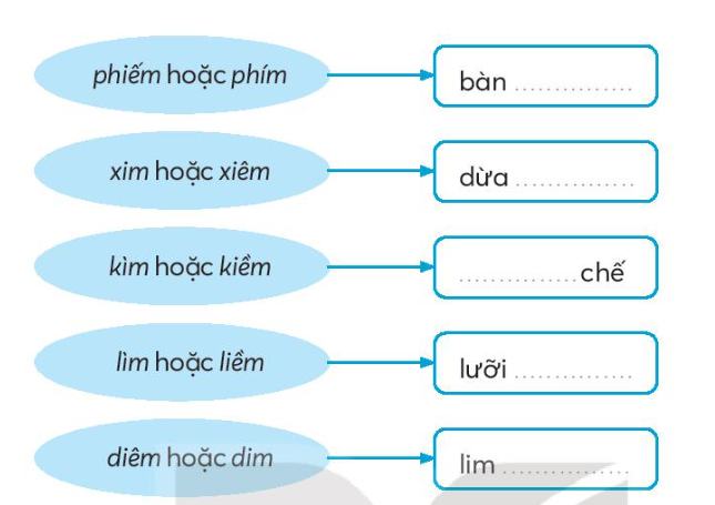 Vở bài tập Tiếng Việt lớp 3 Bài 11: Chuyện bên cửa sổ trang 24, 25 Tập 2 - Kết nối tri thức (ảnh 1)
