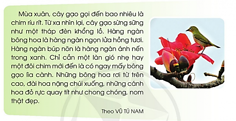 Tiết 3 trang 124 Tiếng Việt lớp 3 Tập 1 - Cánh diều (ảnh 1)