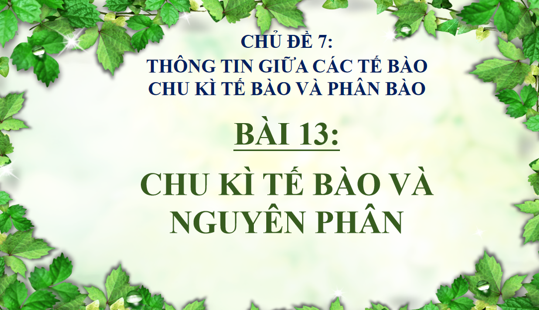 Giáo án điện tử Chu kì tế bào và nguyên phân | Bài giảng PPT Sinh học 10 (ảnh 1)