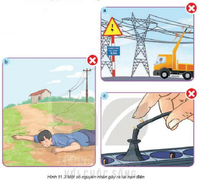 Lý thuyết Công nghệ 8 Bài 11 (Kết nối tri thức): Tai nạn điện (ảnh 1)