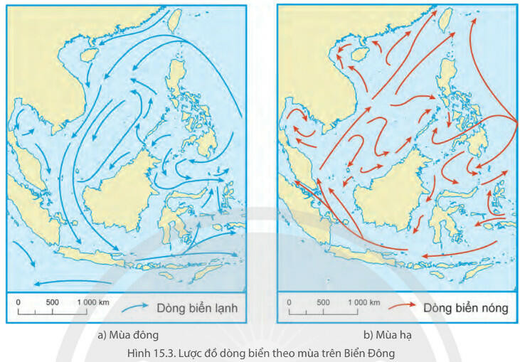 Lý thuyết Địa lí 8 Bài 15 (Chân trời sáng tạo): Đặc điểm tự nhiên, môi trường và tài nguyên vùng biển đảo Việt Nam (ảnh 1)