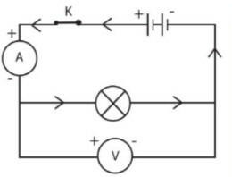 Lý thuyết KHTN 8 Bài 21 (Cánh diều): Mạch điện (ảnh 1)