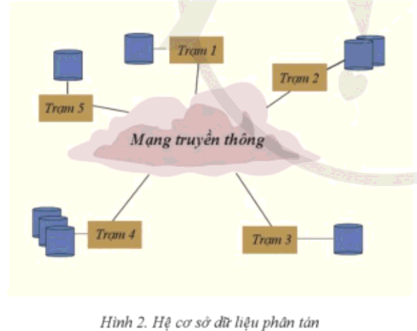  Lý thuyết Tin học 11 (Cánh diều) Bài 7: Các loại kiến trúc của hệ cơ sở dữ liệu (ảnh 1)