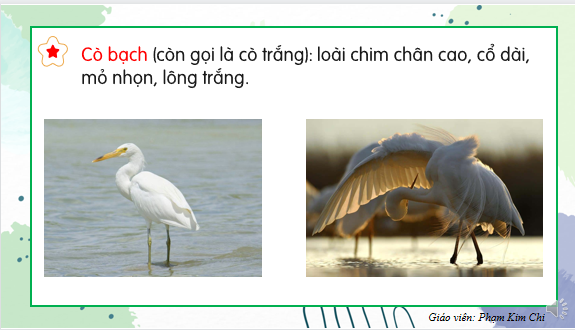 Giáo án điện tử Bờ tre đón khách| Bài giảng PPT Tiếng Việt lớp 2 Kết nối tri thức (ảnh 1)