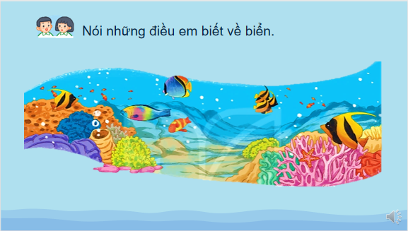Giáo án điện tử Khám phá đáy biển ở Trường Sa| Bài giảng PPT Tiếng Việt lớp 2 Kết nối tri thức (ảnh 1)
