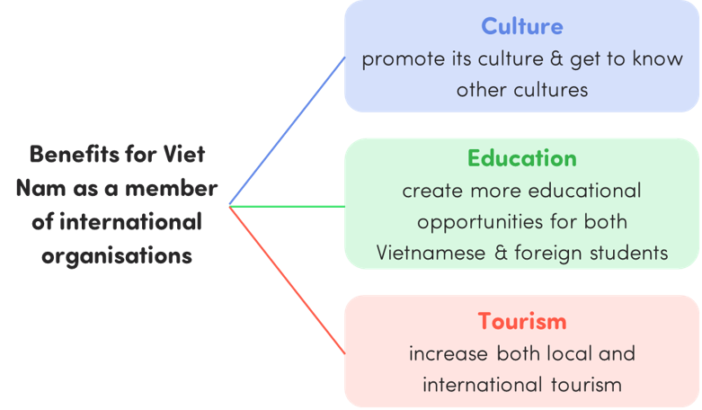 TOP 10 Đoạn văn Write a paragraph about the benefits for Vietnam as a member of international organizations (siêu hay) (ảnh 1)