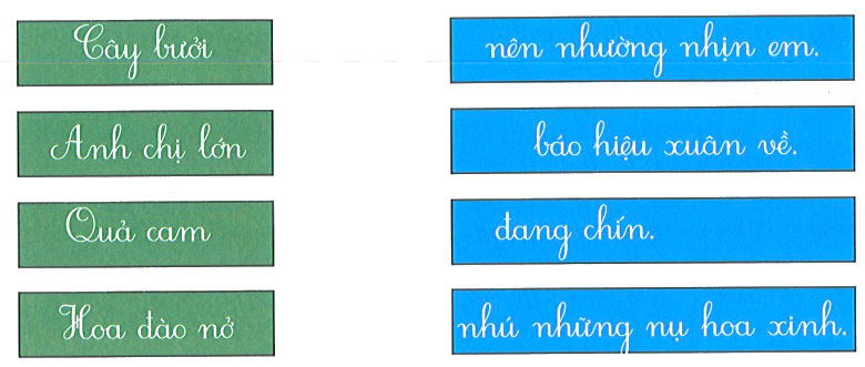 Bài tập cuối tuần Tiếng Việt lớp 1 (Kết nối tri thức) Tuần 17 có đáp án (ảnh 1)