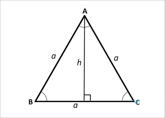 Công thức tính đường cao trong tam giác (2024) và bài tập có đáp án (ảnh 1)