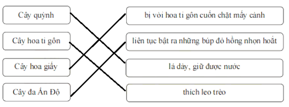 Bài tập cuối tuần Tiếng Việt lớp 1 (Chân trời sáng tạo) Tuần 29 có đáp án (ảnh 1)