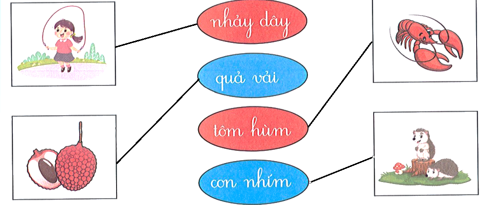 Bài tập cuối tuần Tiếng Việt lớp 1 (Kết nối tri thức) Tuần 8 có đáp án (ảnh 1)