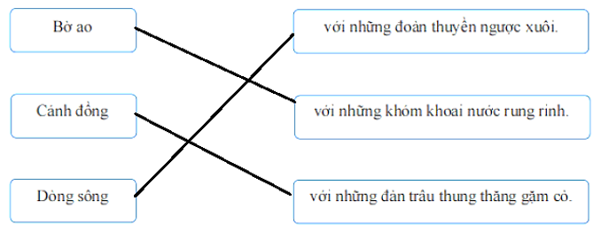 Bài tập cuối tuần Tiếng Việt lớp 1 (Chân trời sáng tạo) Tuần 27 có đáp án (ảnh 1)