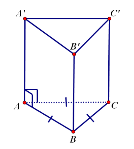 Cách tính thể tích khối lăng trụ tam giác đều và bài tập (2024) có đáp án (ảnh 1)