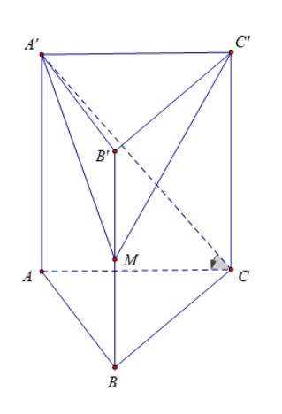Cách tính thể tích khối lăng trụ tam giác đều và bài tập (2024) có đáp án (ảnh 1)