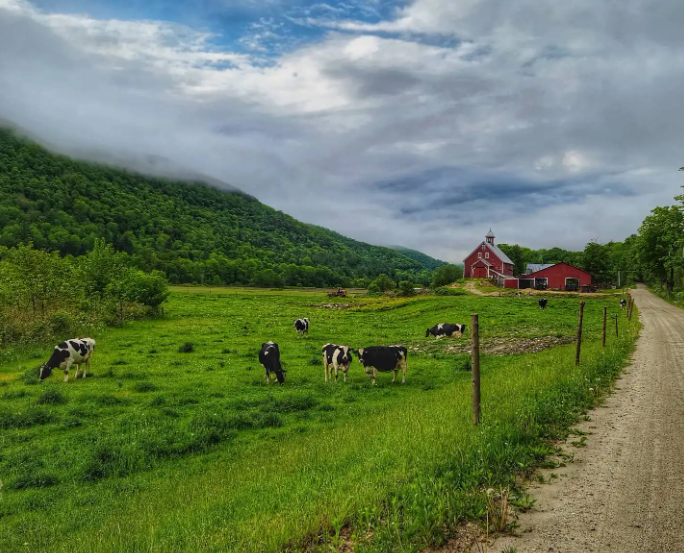 TOP 10 Write about the differences between country life and city life (siêu hay)  (ảnh 1)