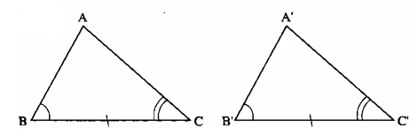 Các trường hợp bằng nhau của hai tam giác thường đầy đủ, chi tiết hay nhất - Toán lớp 7 (ảnh 1)